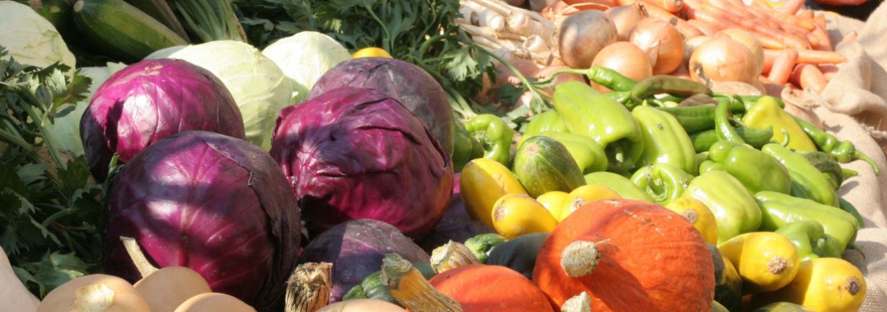 Frisches Gemüse aus Wien