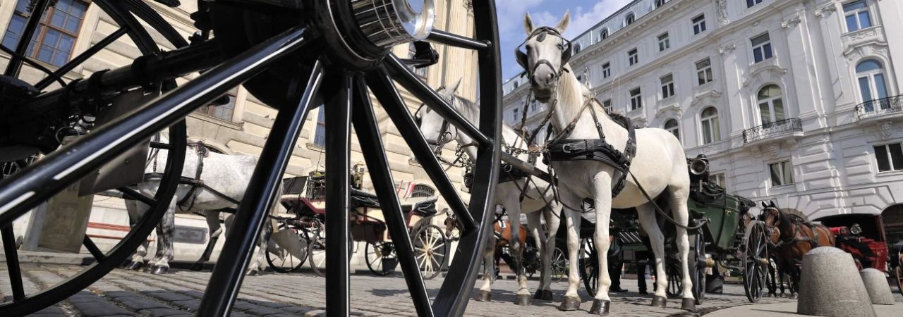 Fiaker am Wiener Michaelerplatz