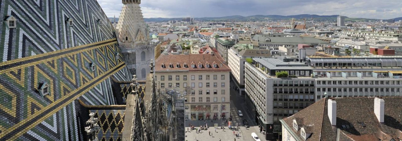 Dach des Stephansdoms und Blick über Wien