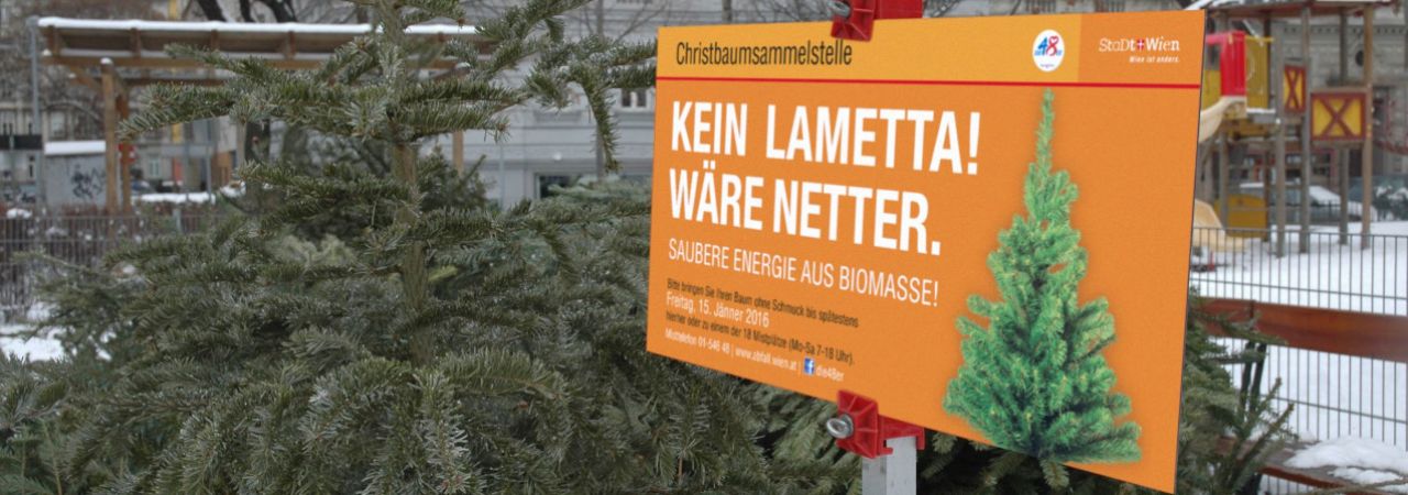 Christbaumsammelstelle