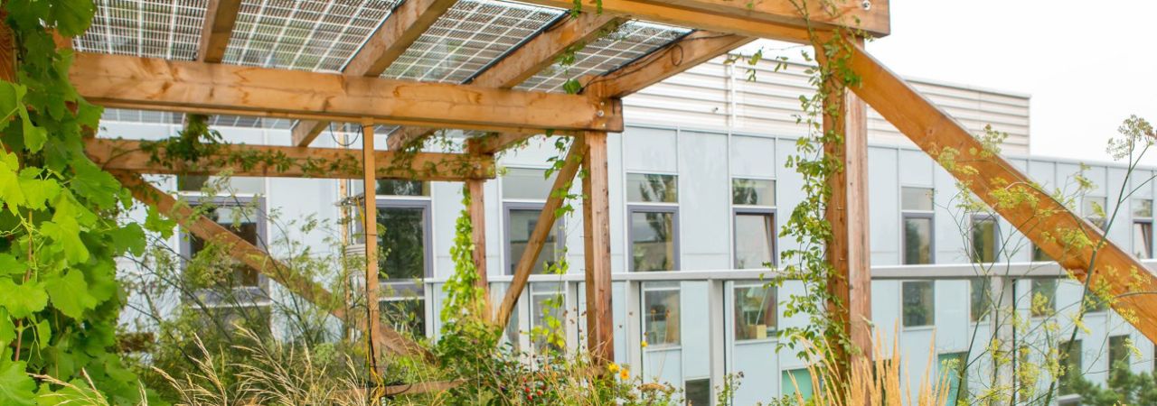 Dachgarten mit grünen Pflanzen und Holz-Pergola mit Solarpanelen