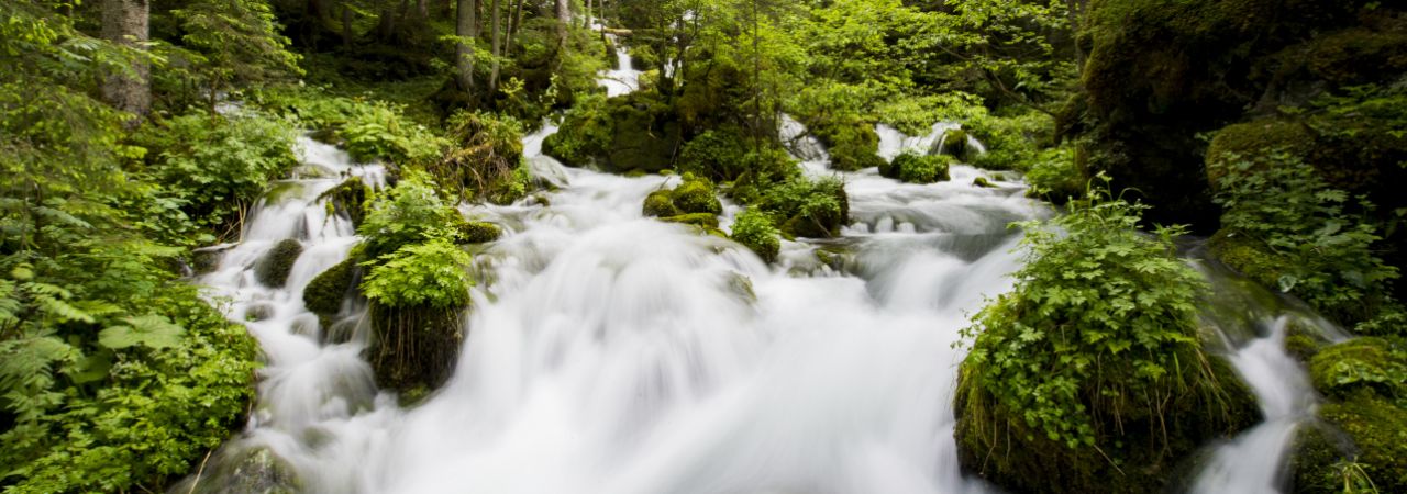 Hochquellwasser fließt durch einen Bach im Wald