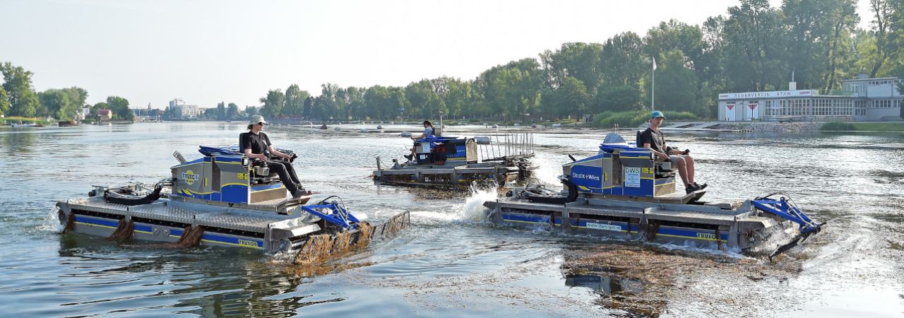 Drei Mähboote fahren auf der Alten Donau.