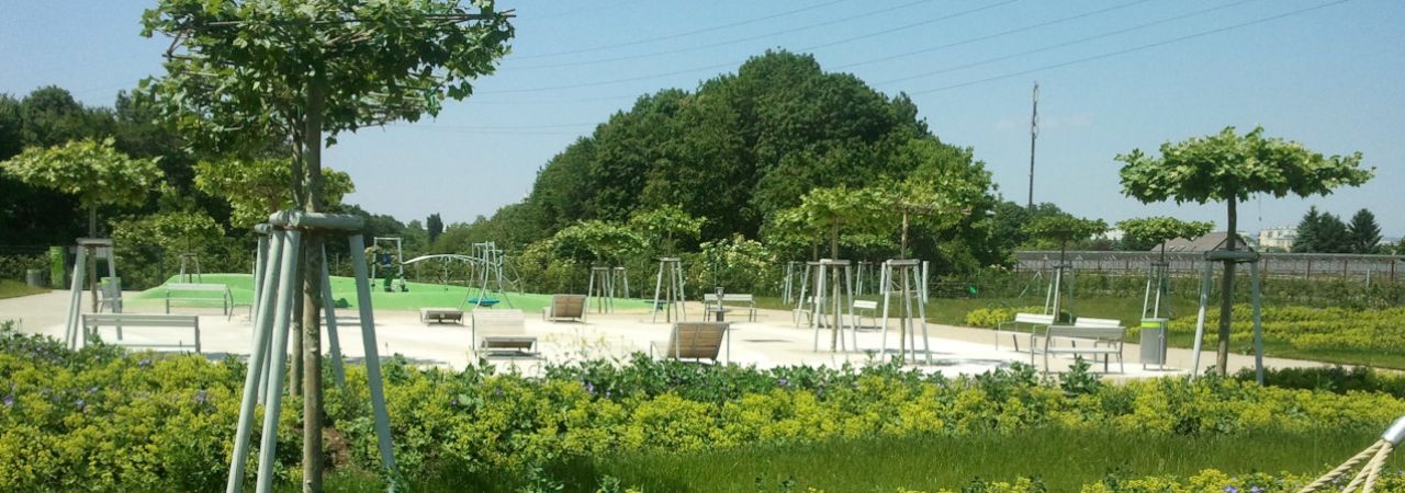 Grünbereich mit frisch gepflanzten Bäumen und Sitzgelegenheiten