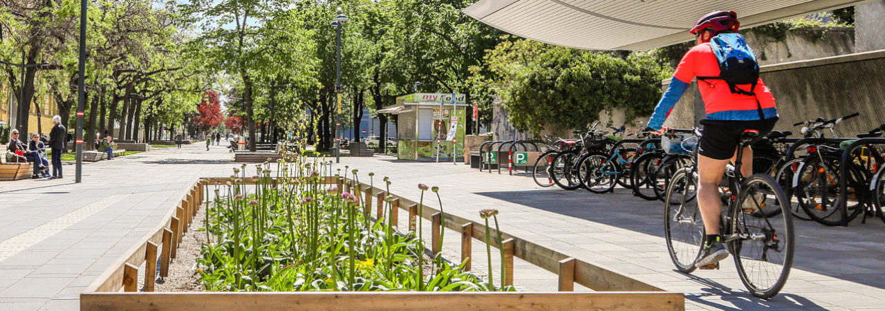 Begrünte Straße mit Radfahrer