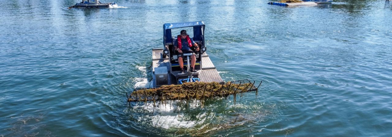 Mähboot auf der Alten Donau im Einsatz