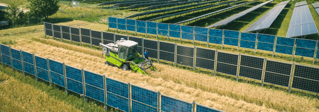 Ernte auf einem Feld mit Photovoltaik-Anlagen.