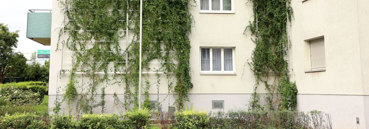 Begrünte Fassade