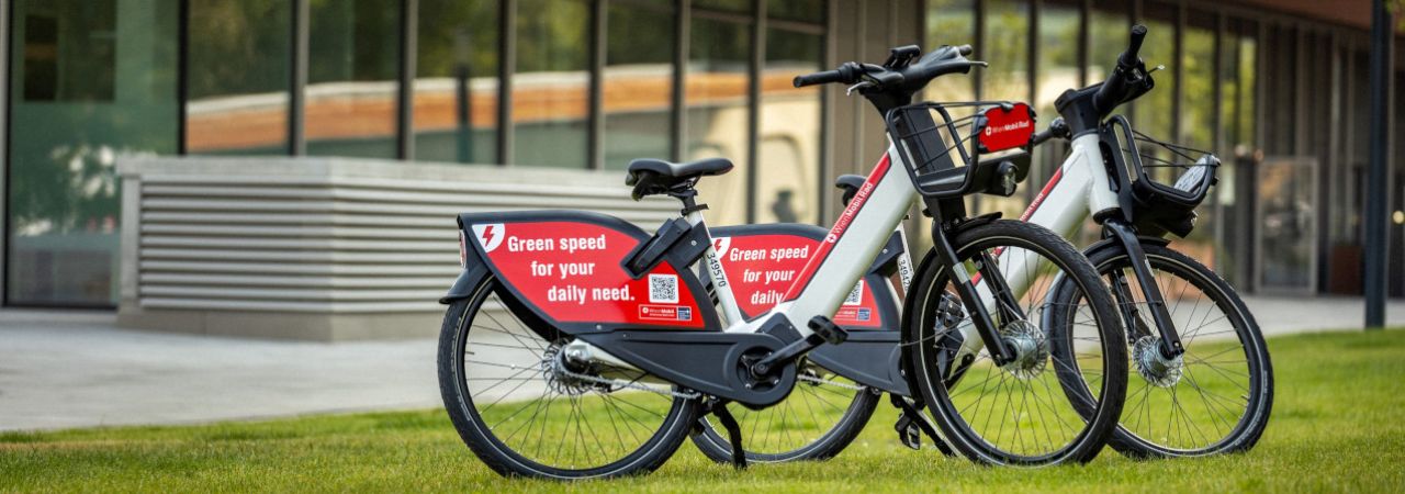 Zwei E-Bikes nebeneinander auf einer Wiese