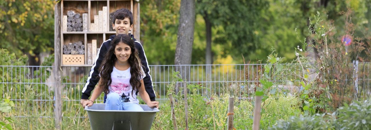 Egy diák egy diáklányt tol talicskában iskolakertben