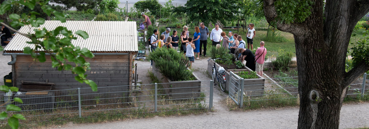 Delegation besichtigt einen Nachbarschaftsgarten