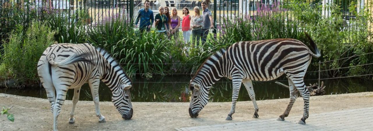 Schönbrunn prelazi na daljinsko grijanje