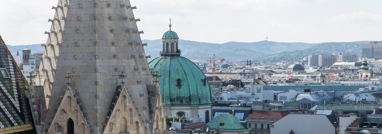Blick vom Stephansdom über Wien