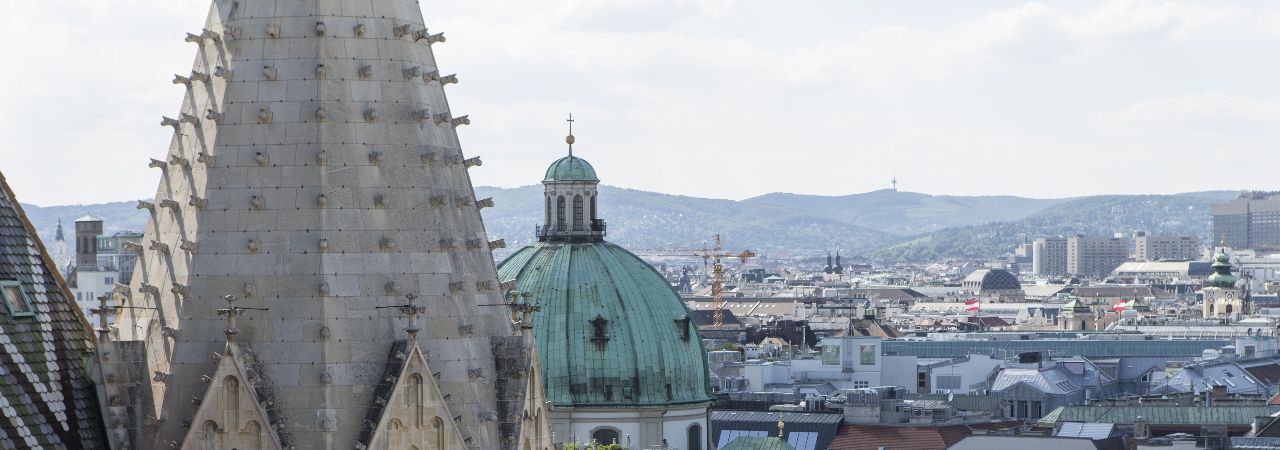 View from St. Stephen's Cathedral towards Hermannskogel