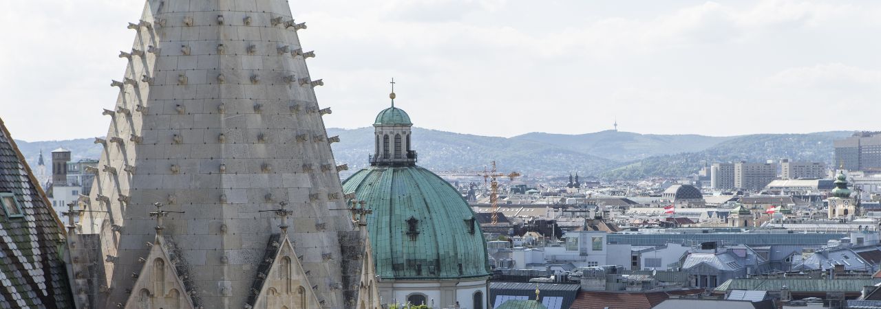 Pohľad z Dómu svätého Štefana vo Viedni na mesto