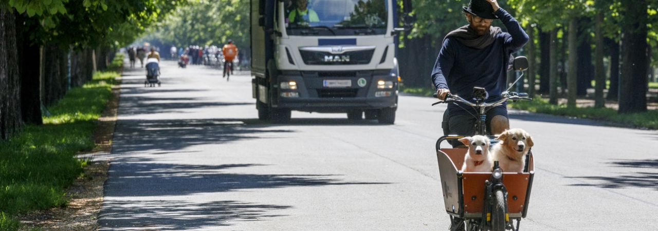 Lastenfahrrad mit zwei Hunden im Korb fährt vor einem Lastwagen.