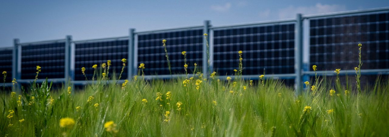 Tlo se koristi za poljoprivredu i proizvodnju električne energije