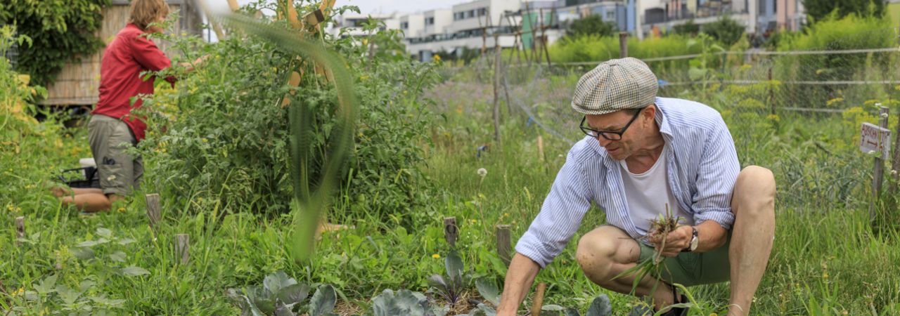 Eine Frau und ein Mann arbeiten in einem Gemeinschaftsgarten.