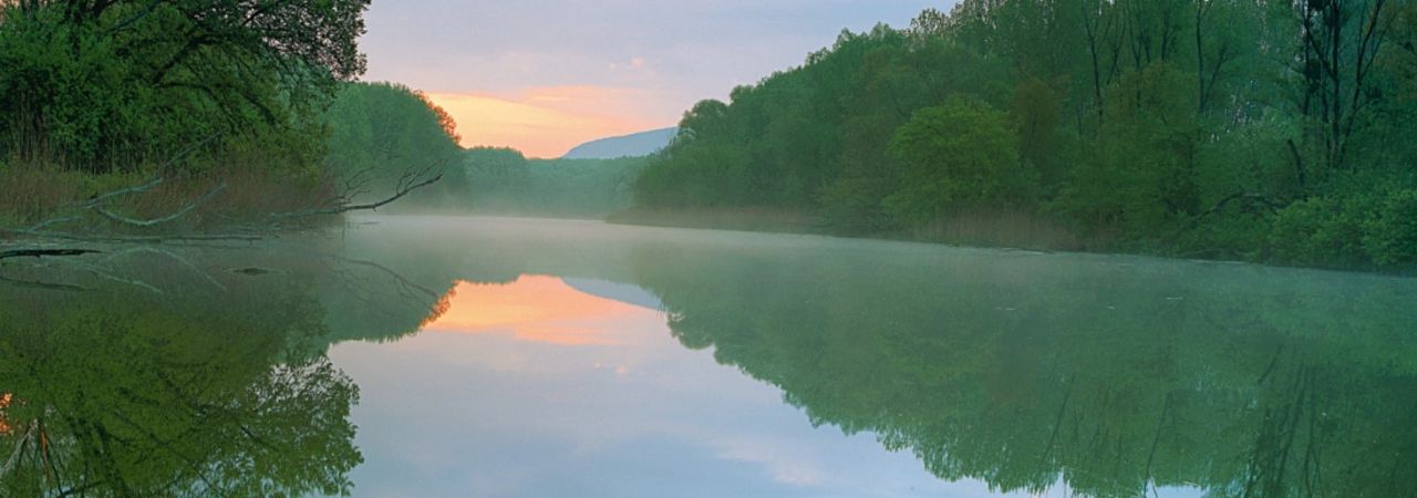 Ein See im Nationalpark Donau-Auen