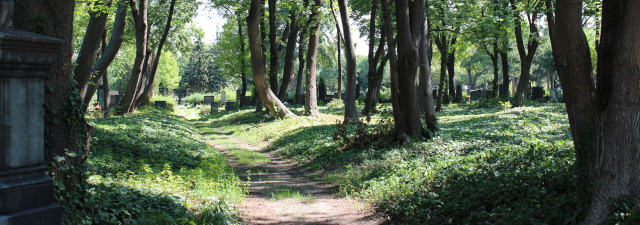 Ansicht des Waldfriedhofs am Wiener Zentralfriedhof