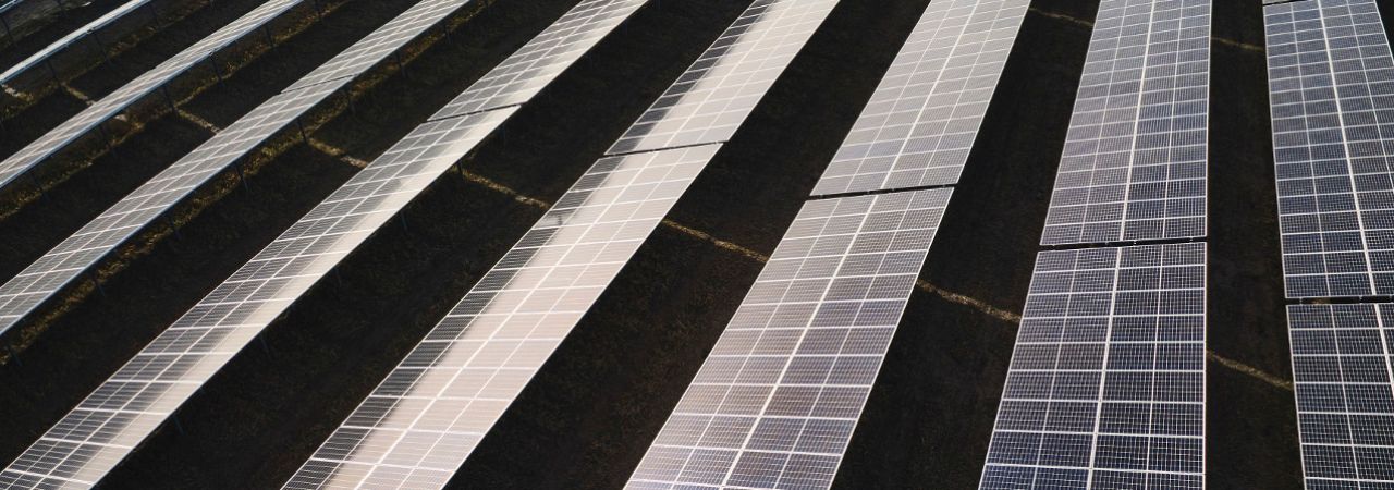 redovi solarnih modula postavljenih na travi