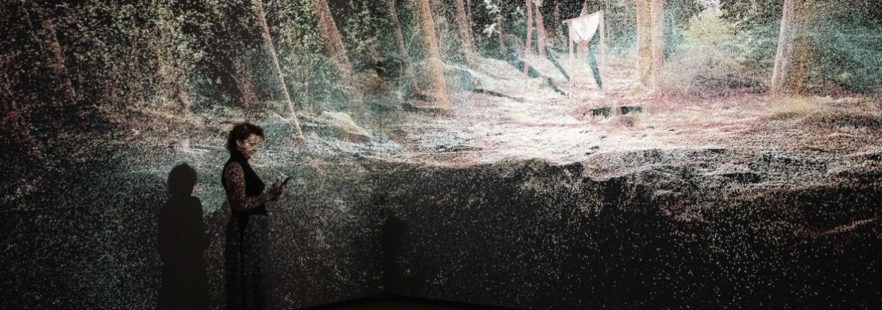 Künstlerische Ausstellungs-Installation zeigt einen atmosphärischen Wald