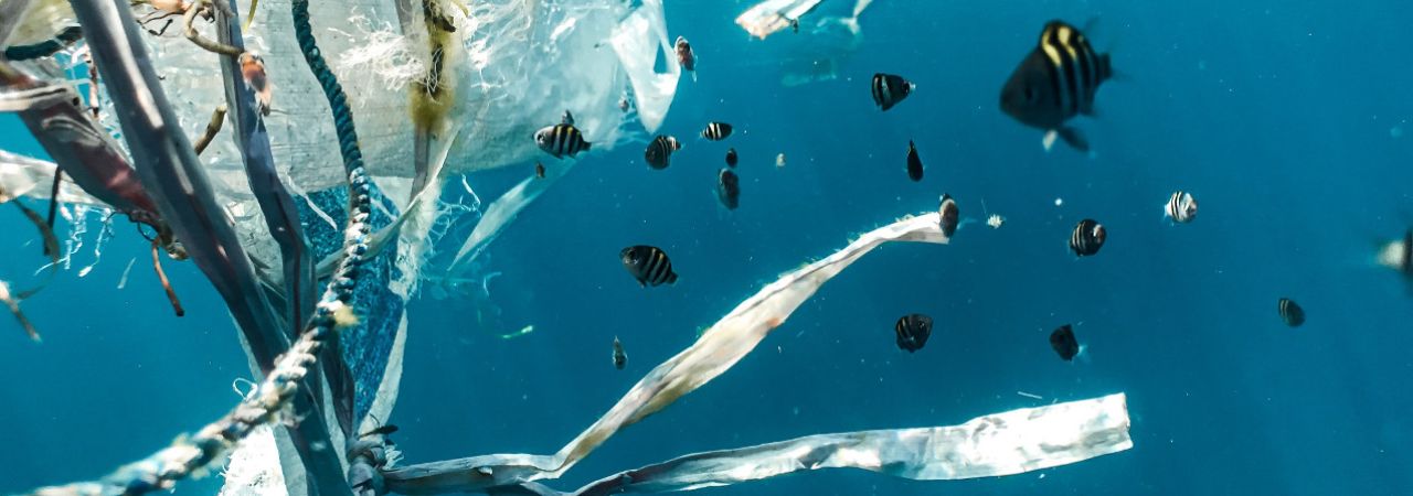 Sitne čestice plastike štetne su za čovjeka i okoliš