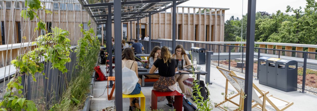 Studentinnen sitzen auf einem begrünten Dachgarten unter Solarpaneelen