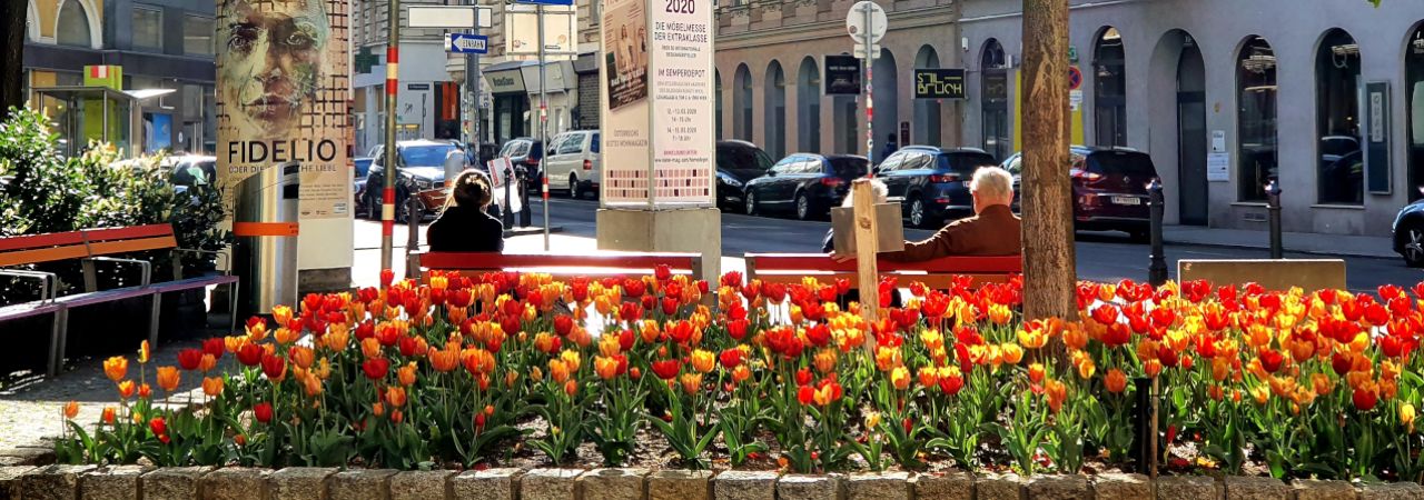 Beet mit in gelb, orange und rot blühenden Tulpen auf einem Wiener Platz..