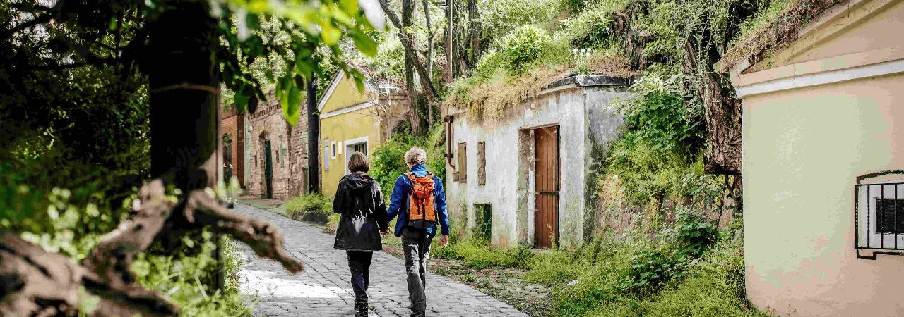 Мъж и жена, в гръб, на романтична разходка из Виена
