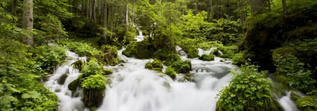 Pitka voda izvire u Alpima u Donjoj Austriji i Štajerskoj na izvorištu koje zauzima veću površinu od grada