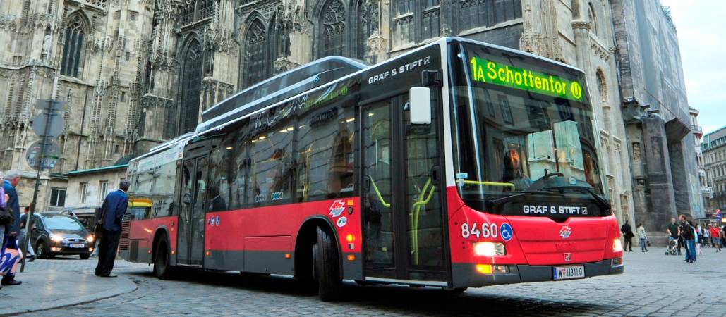 Autobus vor dem Wiener Stephansdom