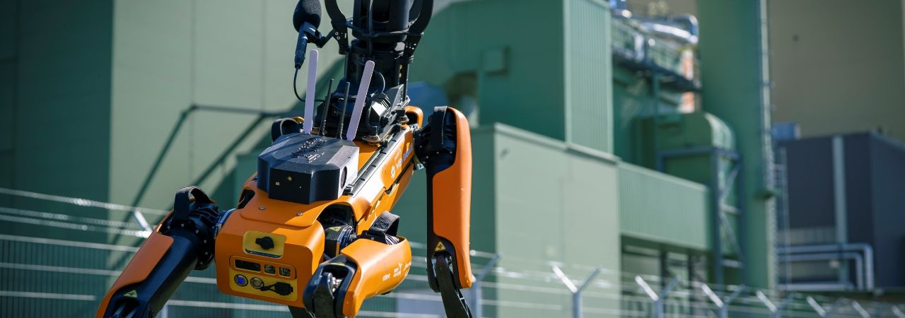 Ein Roboterhund