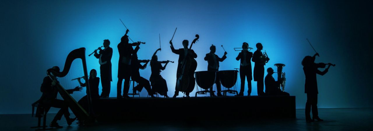 Orchestermusiker*innen mit verschiedenen Instrumenten